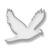 Captcha image 1681
